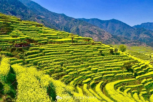 5bae5b1e0741e3c_size233_w500_h333.jpg 5bae5b1e0741e3c_size233_w500_h333.jpg