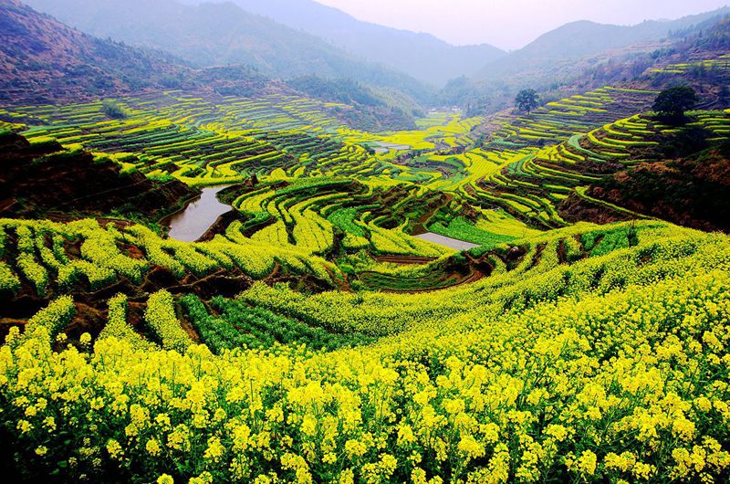 篁岭春季1.jpg 篁岭春季1.jpg