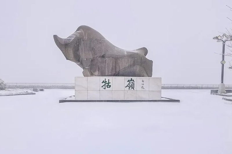 ®ɽѩ-