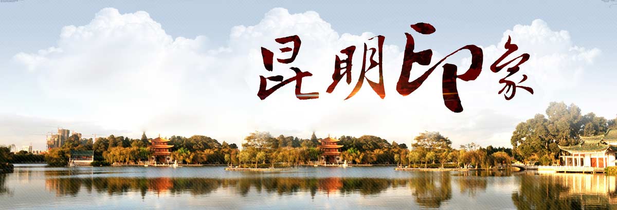 诚信 责任 效率